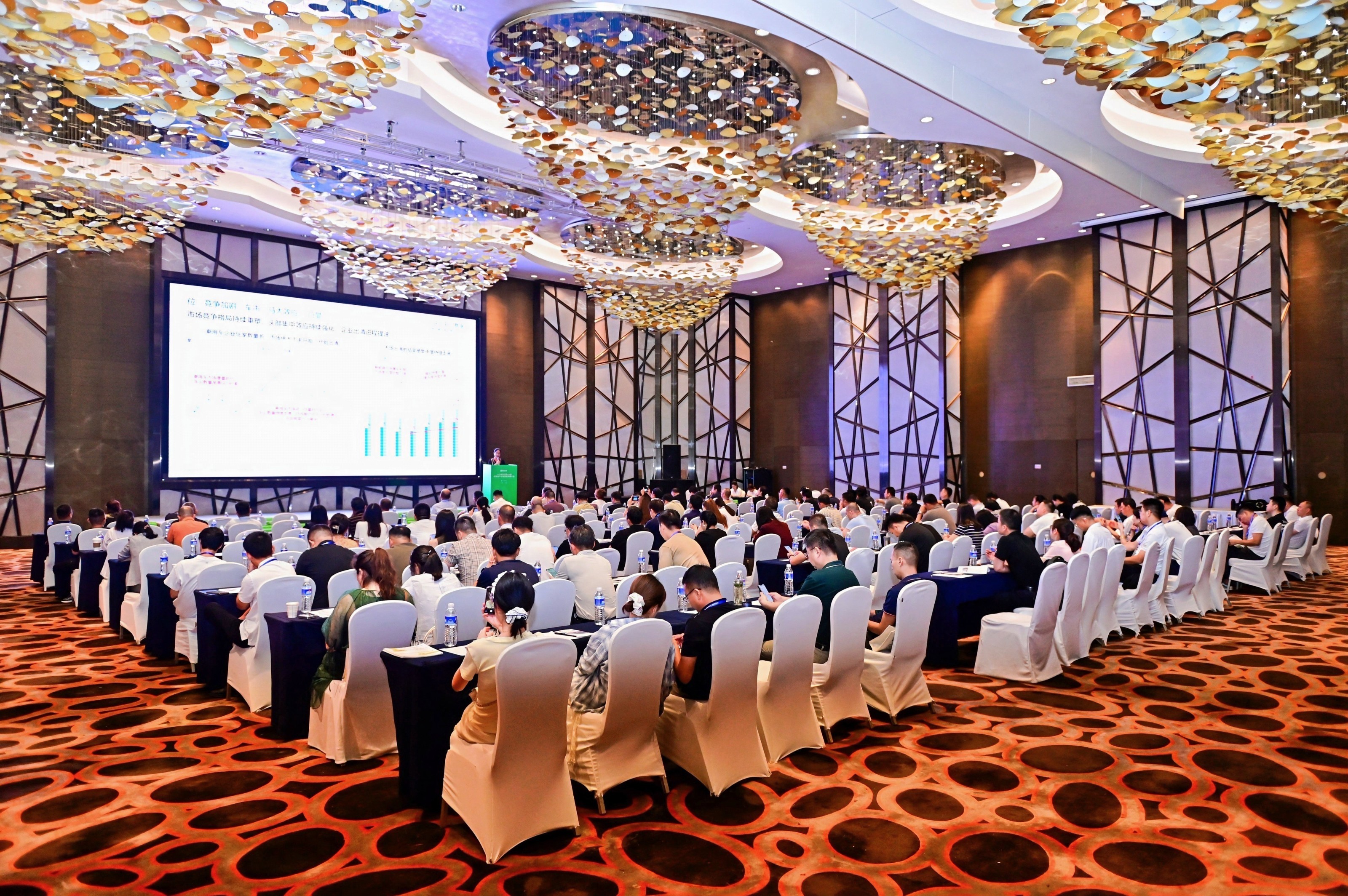 1757380047138539.jpg 1757380047138539.jpg